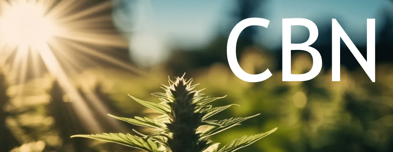 CBN-min