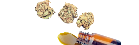 thc-olie