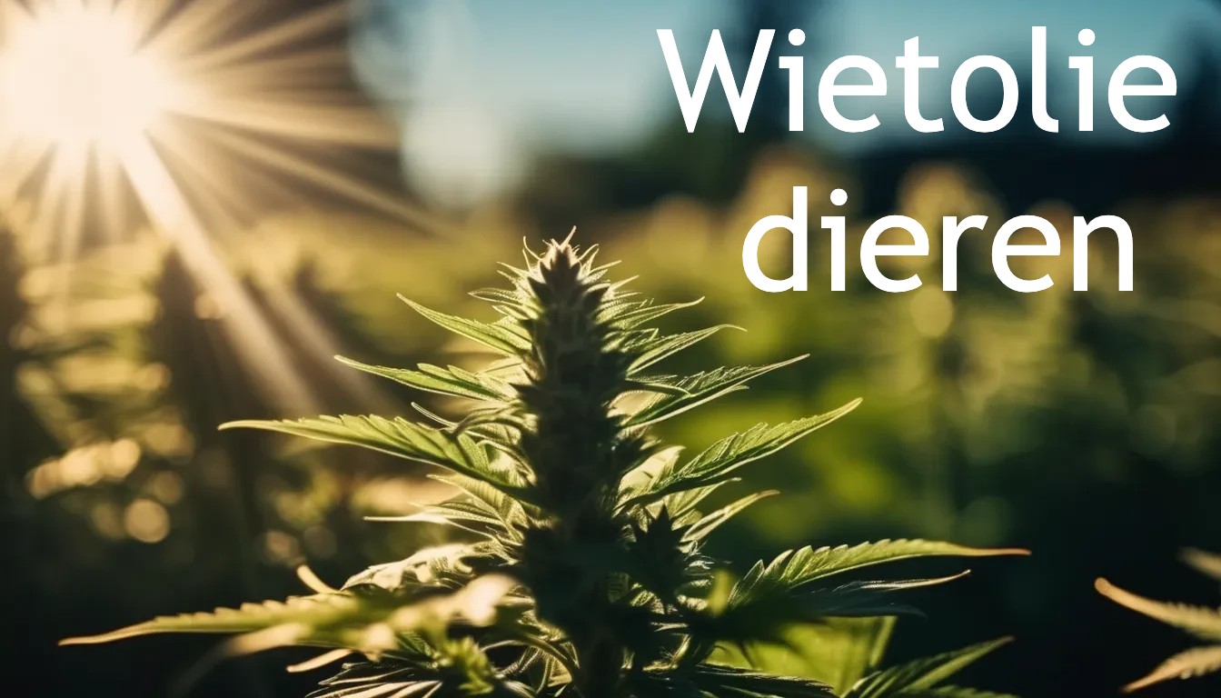 wietoliedieren