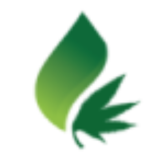 Angela profile picture