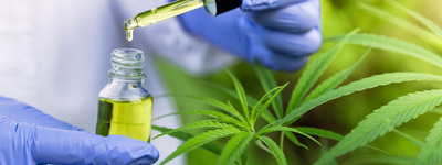 onderzoek-medicinale-canna-