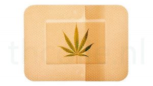 thc-pleister-300x168